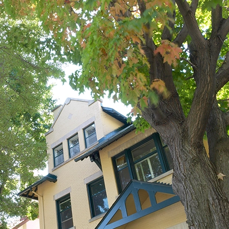 Tree Services